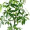 5ft. Potted Green Money Plant Tree by Ashland®